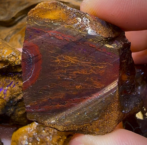 5x Medium Queensland Boulder Opal Potch, Pattern and Colour Rough. BULK LISTING - Opal Whisperers