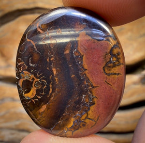 51.1cts - Tribal Yowah Nut Opal. Australian Opal BARGAIN