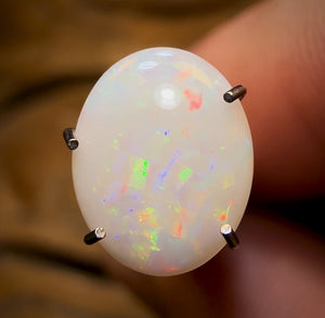 Auction Fall-Through = Your Gain! 🔥 Now More Than 50% Off RRP 🚨 1.15cts - South Australian White Opal