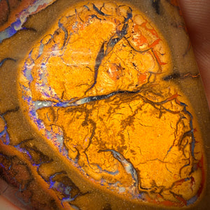 282.2cts - Large Tribal 2/2 Australian Boulder Opal from Yowah