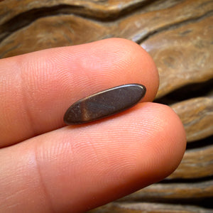 1.6cts - “Solar Flare” Australian Boulder Opal Doublet