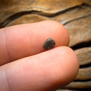 0.3 cts - Opale à veine du Queensland