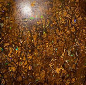 97.6cts - Large Thick Double Sided Tight Tribal Queensland Boulder Opal from Yowah