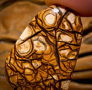 🔨 AUCTION 🔨 20.3cts - Yowah Nut Top Tribal Pattern Opal