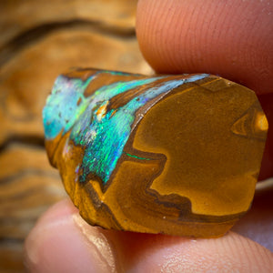 36,6 cts - Opale Boulder de la couche de Queensland (Opal Rub)