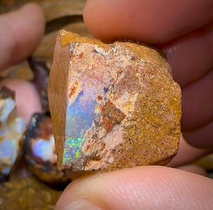 140.1g - 8x Mixed Queensland Boulder Opal Rough Pieces with Crystal Centres - Opal Whisperers