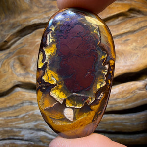 98.1cts - Tribal Yowah Nut Kernel Opal. Australian Opal