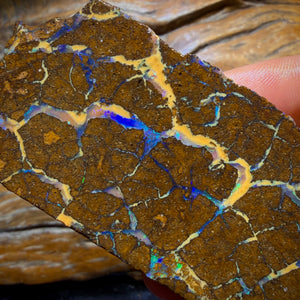 Dad Card! 683cts - Queensland Boulder Seam Opal Rough Specimen Piece