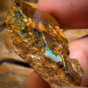37.2cts - Vegetation Fossil Replacement Boulder Opal Rough Piece