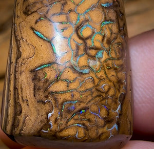 53.7cts - Tribal Queensland Boulder Opal from Yowah - Opal Whisperers