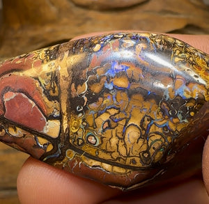 339cts - Australian Boulder Opal Top Tribal Art Specimen Polished - Opal Whisperers
