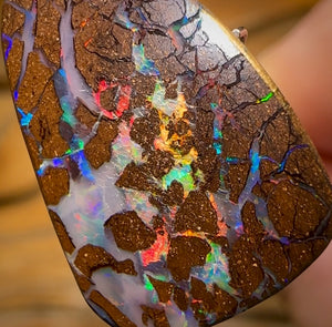 10.3cts - Queensland Boulder Opal from Yowah. Red Multicolours!