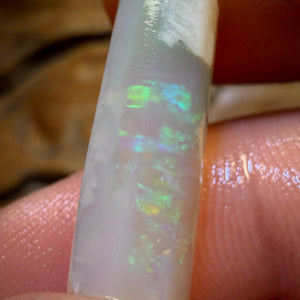 10.1cts - Opalised Belemnite Geological Specimen from South Australia