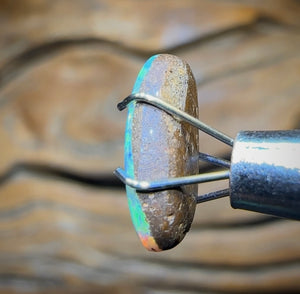 1.6cts - TOP Australian Boulder Opal Doublet. Rare Opal Pipi Shell Replacement - Opal Whisperers