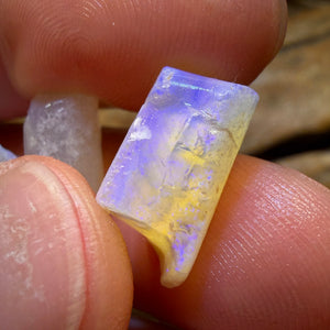 30.7cts - 3x Opalised Belemnite Geological Specimens from South Australia