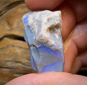 48.5cts - Lightning Ridge Opal Rough Piece