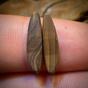 🔨 AUCTION 🔨 2.9cts - Australian Boulder Opal Doublet Pair. RECUTTER’S DELIGHT