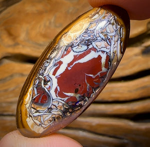 44.4cts - Tribal Queensland Boulder Opal. “Porcelain Potch Picture Piece”