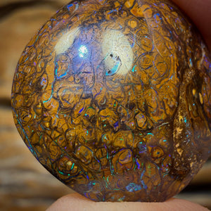 32.4cts - Yowah Nut Tribal Opal. Australian Boulder Opal