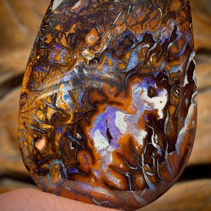 51.3cts - Tribal Koroit Nut Opal. Double Sided