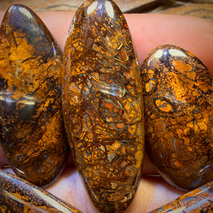 š217.7cts - 5x Australian Tribal Boulder Opalās. Wholesale Dealers Parcel