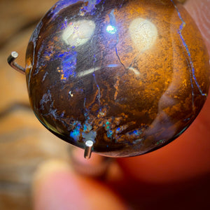 🔨 AUCTION 🔨 No Reserve 6.7cts - Queensland Boulder Opal from Yowah
