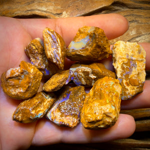 🔒311.5cts - 10x Opalised Wood/Vegetation Fossil Rough Parcel from Yowah