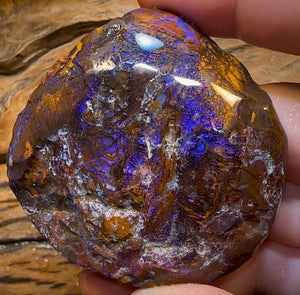 513.3cts - Large Yowah Boulder Opal Rough Preform - Opal Whisperers