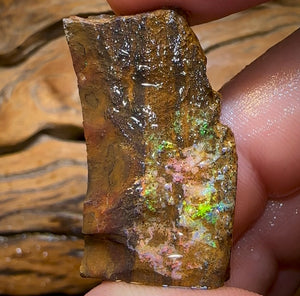 61.7cts - Australian Boulder Opal Rough Preform. Natural Split - Opal Whisperers