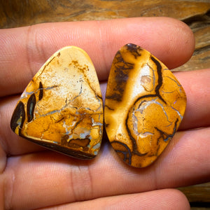 Late Card Rarity 49.2cts - Tribal Queensland Boulder Opal Pair. White/Porcelain Tribal
