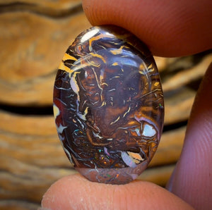 14.6cts - Top Tribal Queensland Boulder Opal from Koroit
