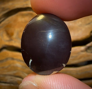 34.2cts - Queensland Boulder Opal from Koroit