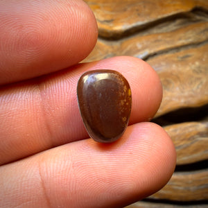 7.5cts - Rare Fossil Shell Australian Opal Doublet