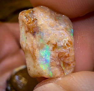 127.7cts - 4x Yowah Nut Rough Opal Parcel. Australian Boulder Opal - Opal Whisperers