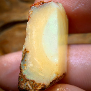 🔨 AUCTION 🔨 No Reserve 34.1cts - Boulder Pipe Opal Rough Piece. Australian Opal