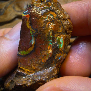 924cts - 8x Koroit Nut Tribal Opal Rough Parcel. Australian Boulder Opal
