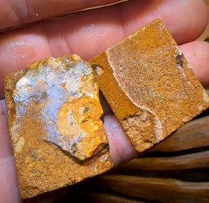 131.5cts - 2x Queensland Boulder Pipe Opal Rough.