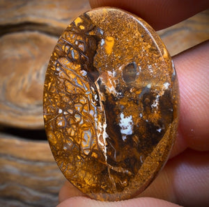 43.7cts - Tribal Australian Boulder Opal from Yowah