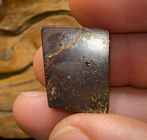 23.8cts - Queensland Boulder Opal Great Pattern - Opal Whisperers