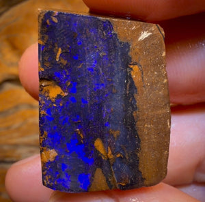 Wildcard! 98.1cts - Queensland Boulder Seam Opal Rough Specimen Piece