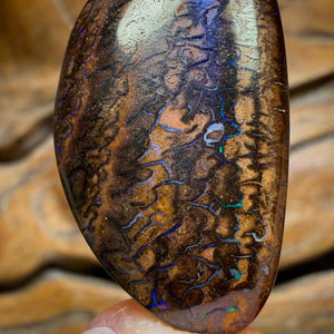 Wildcard! 36 x 20mm - Drilled Tribal Queensland Boulder Opal