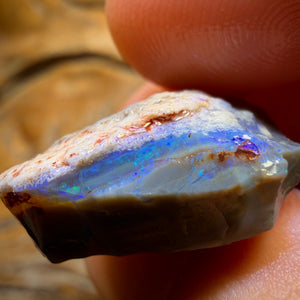 16.8cts - Lightning Ridge Opal Rough Piece