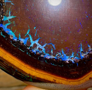 212.3cts - “Mystic Eye”Polished Yowah Nut Opal Specimen - Opal Whisperers