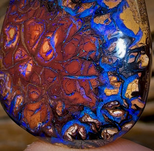 48.6cts - Tribal Queensland Boulder Opal from Yowah