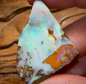 100.2cts - Australian Boulder Opal Rough Preform. Natural Split - Opal Whisperers