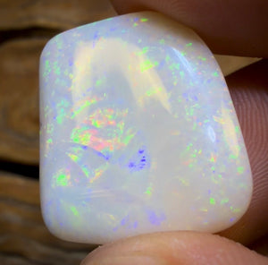 21.6cts - Olympic, South Australian White Opal