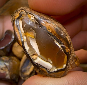 (Template) 143.5g- 10x Queensland Boulder Opal Baroque Specimens - Opal Whisperers