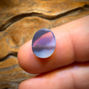 🔨 AUCTION 🔨 Reserve 💎 High Roller Banger Auction 💎 2.8cts - Lightning Ridge Semi Black Opal
