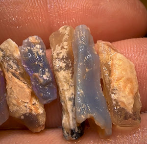 24.1cts - 9x Opalised Fossil Geological Specimens from Lightning Ridge