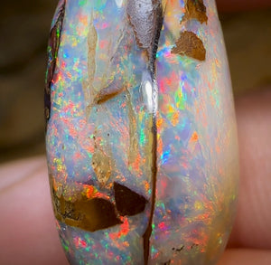 17.5cts - Yowah Nut Kernel Opal, Christmas Beetle - Opal Whisperers